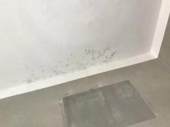 ��Ȧ-Ϊdu����